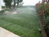 Impianto di irrigazione in funzione