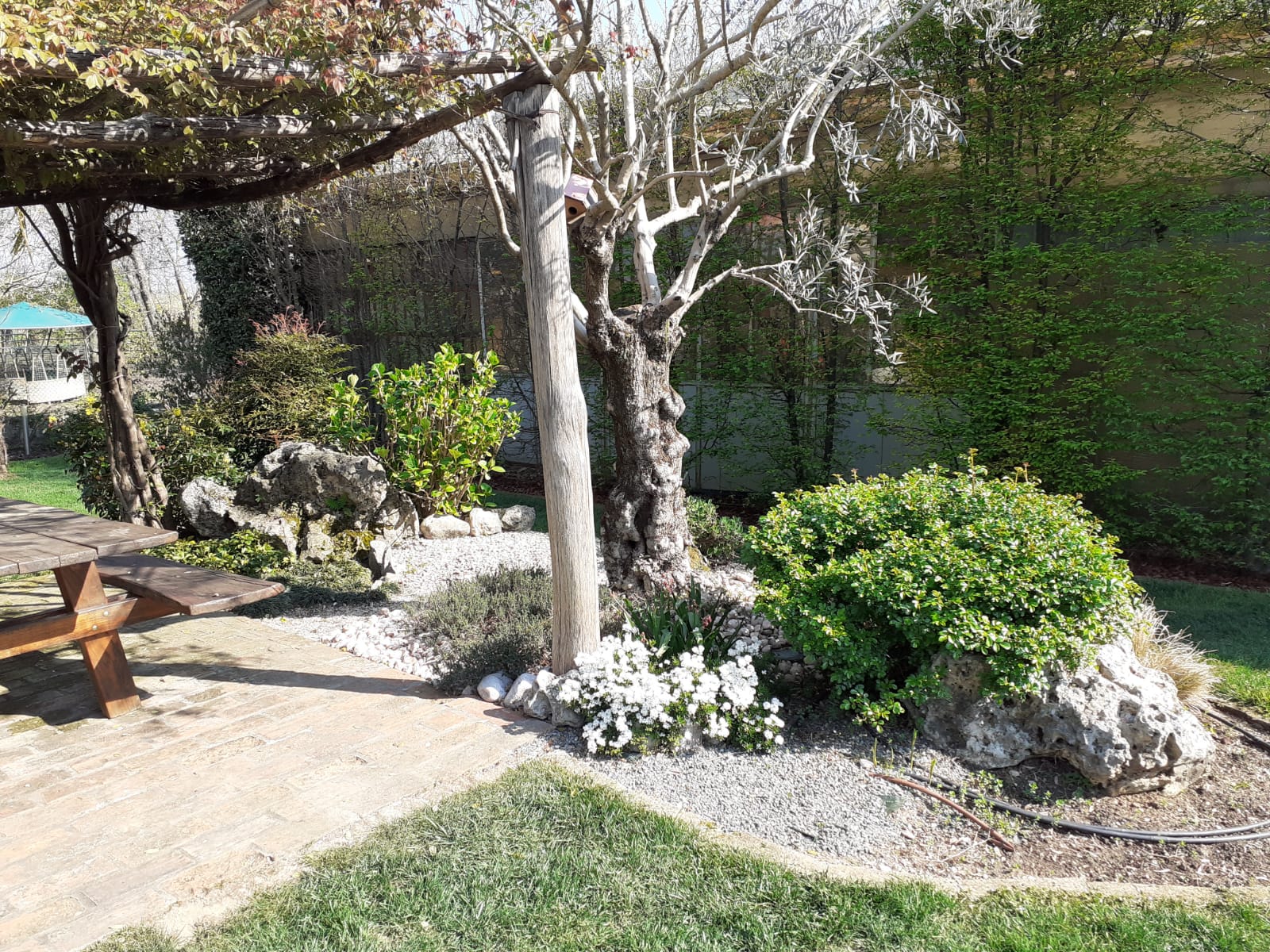 progettazione giardini vicenza