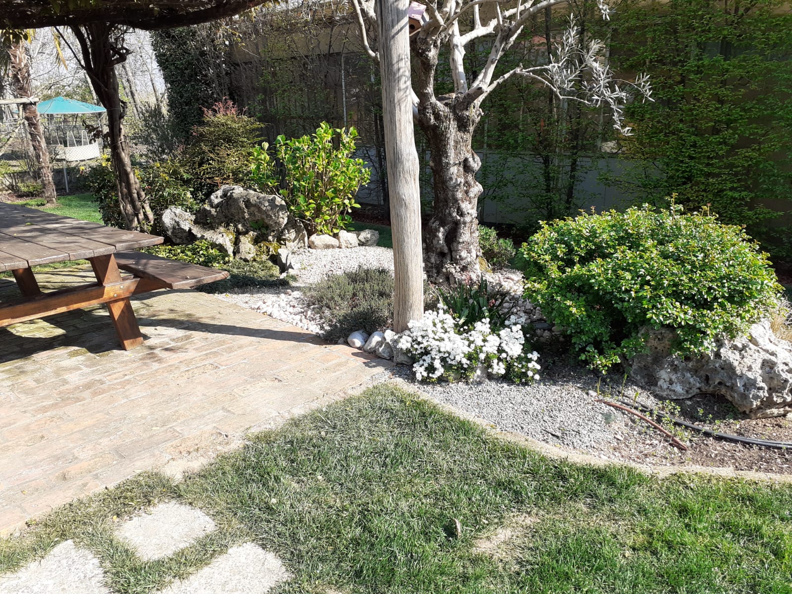 progettazione giardini vicenza