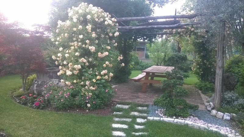 progettazione giardini vicenza