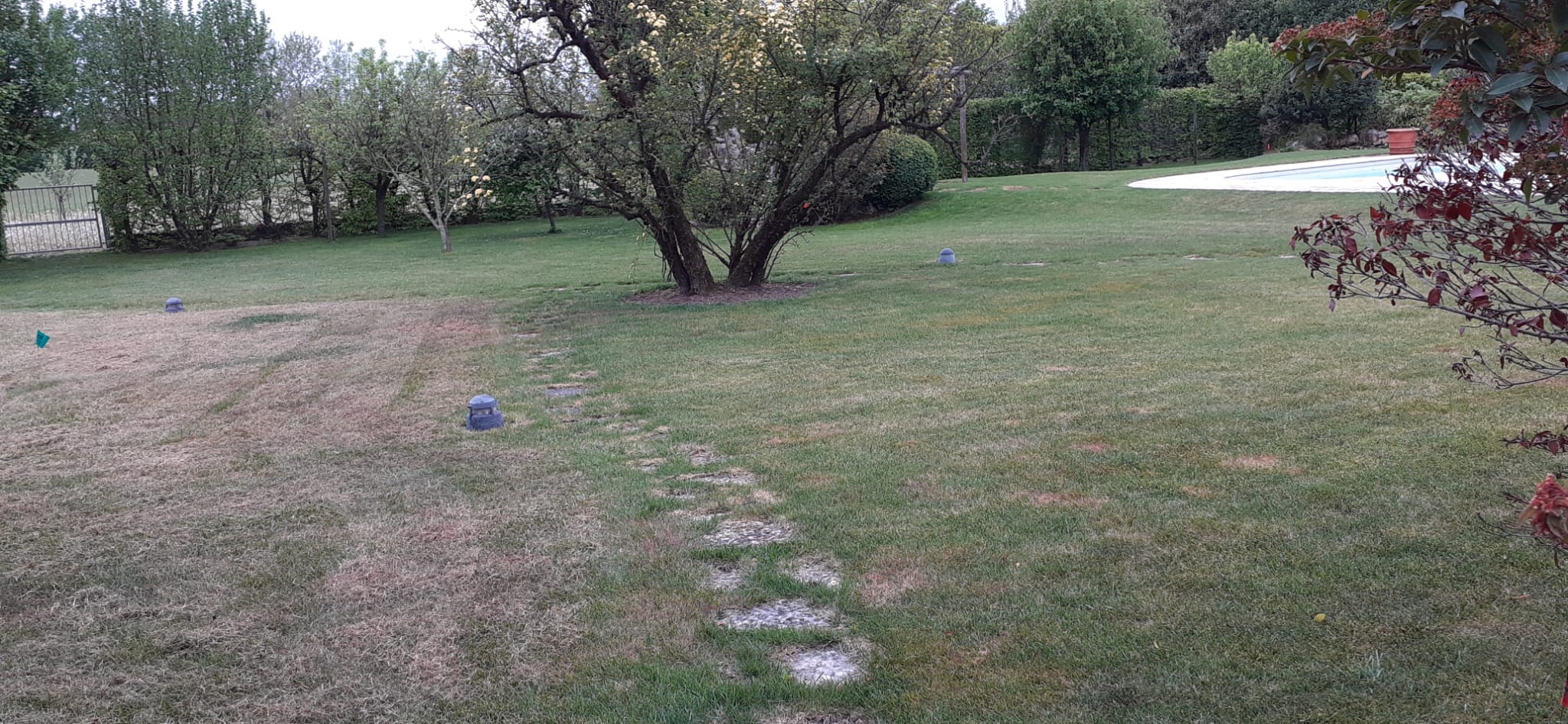 semina e cura del tappeto erboso