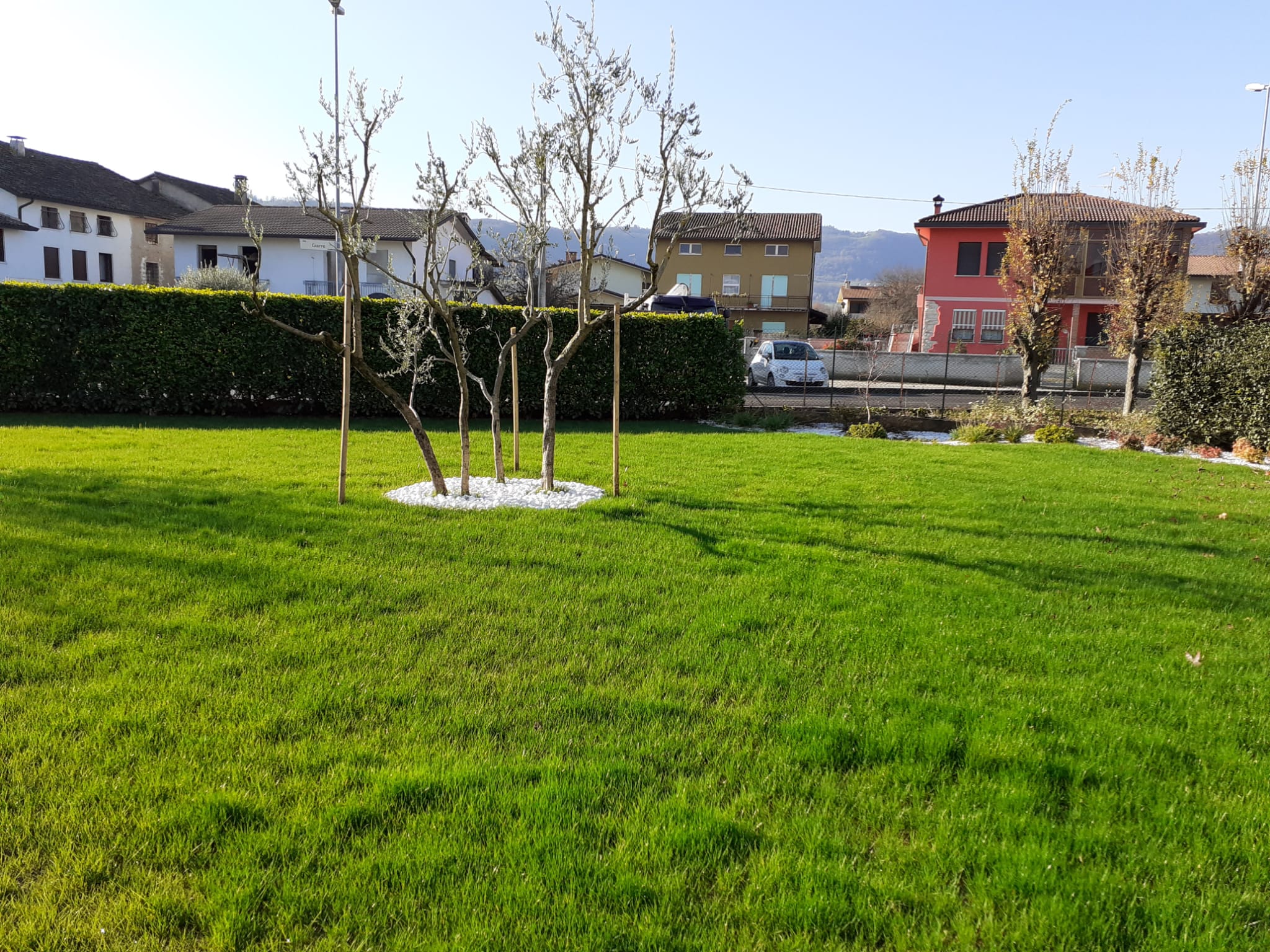 progettazione giardini vicenza