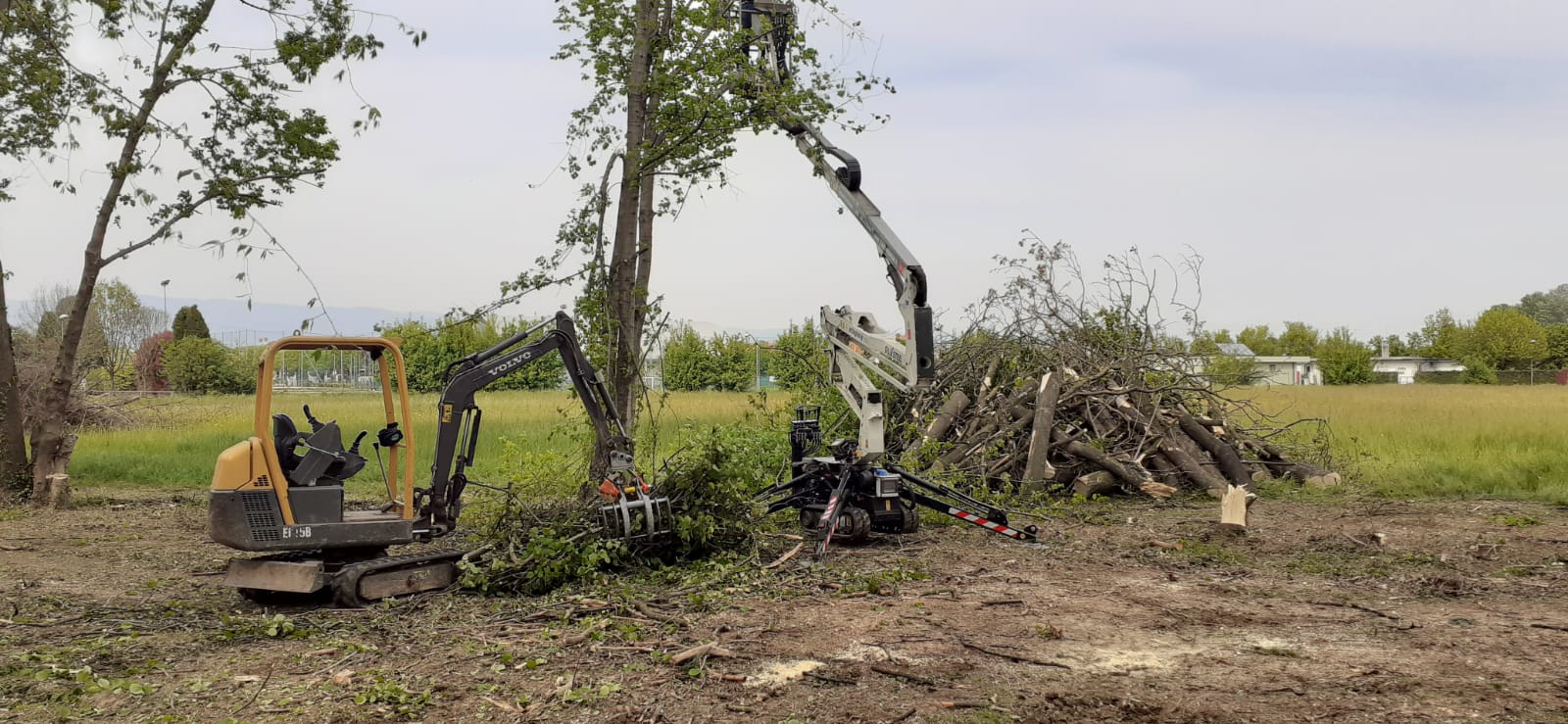 Attrezzature manutenzione progettazione giardini Vicenza