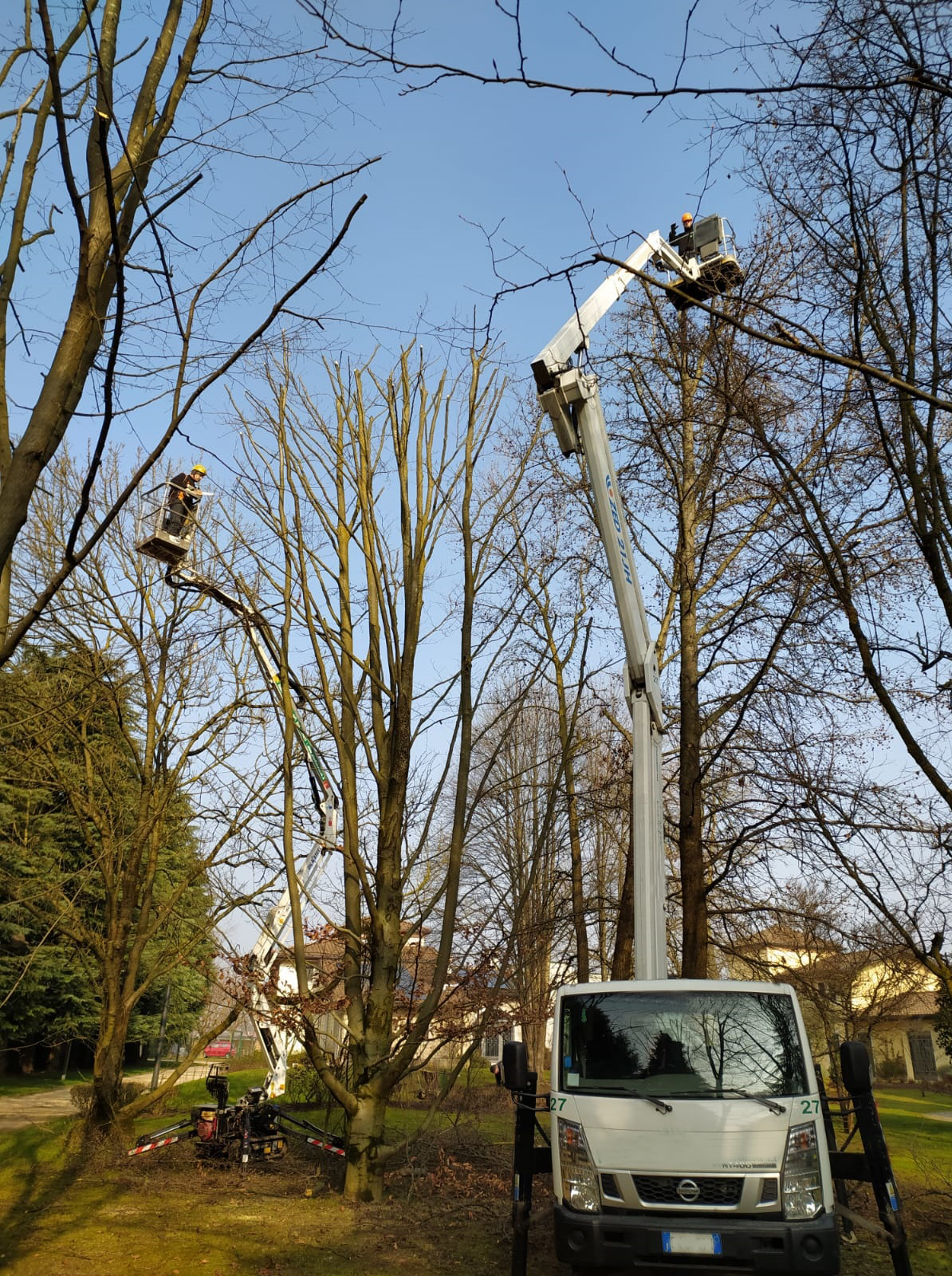 Attrezzature manutenzione progettazione giardini Vicenza