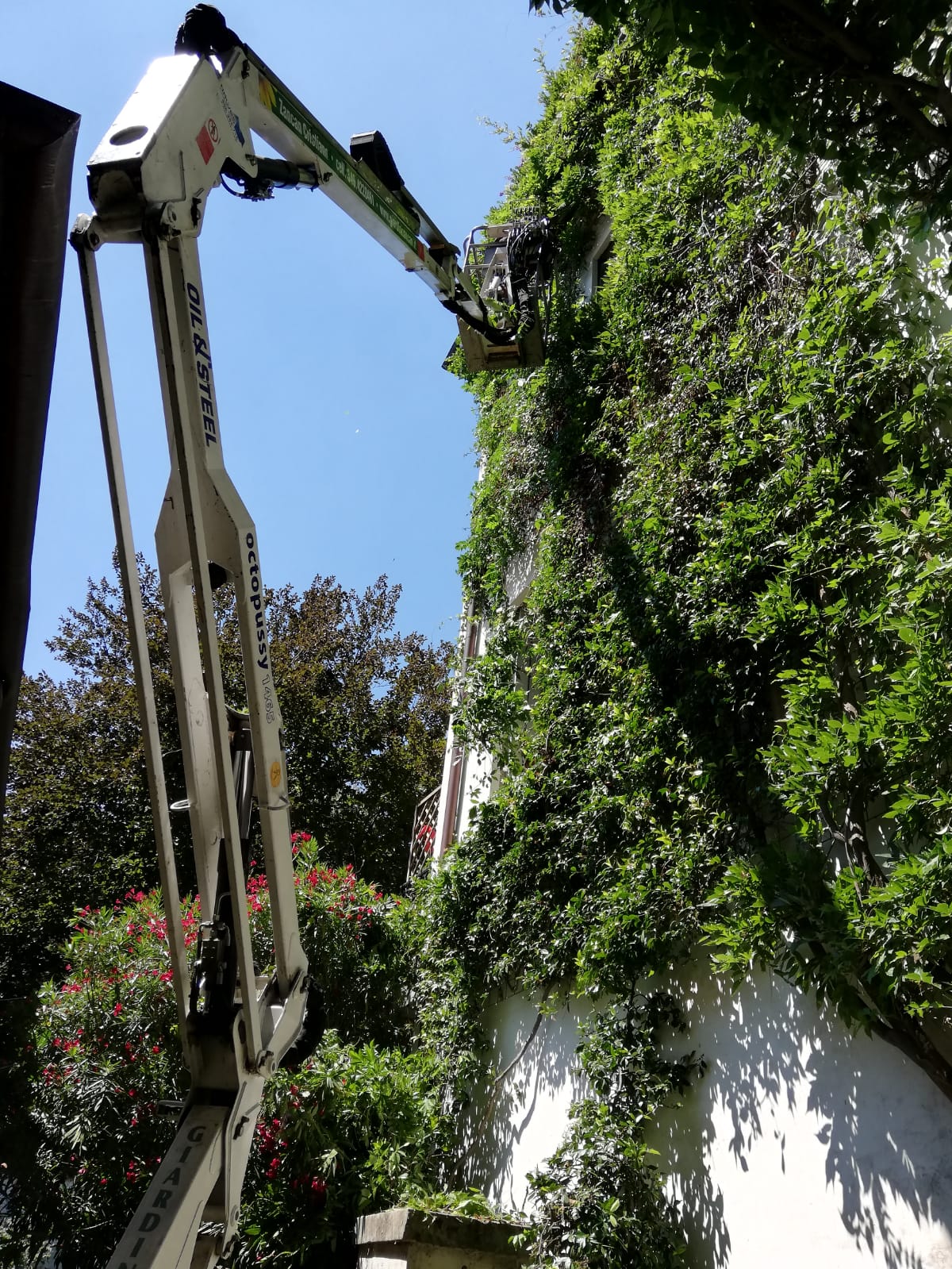 Potatura aerea Vicenza