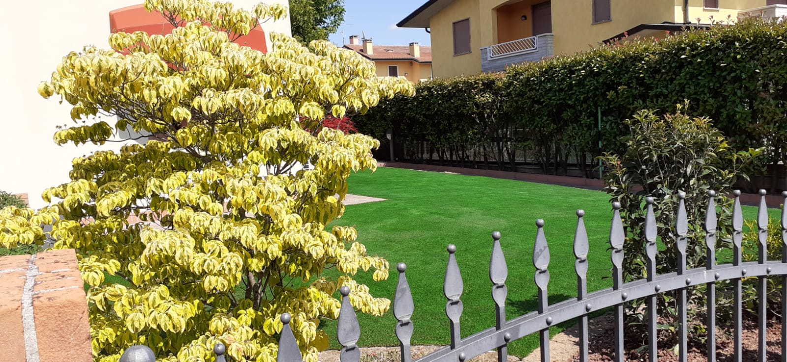 Prato sintetico prima e dopo