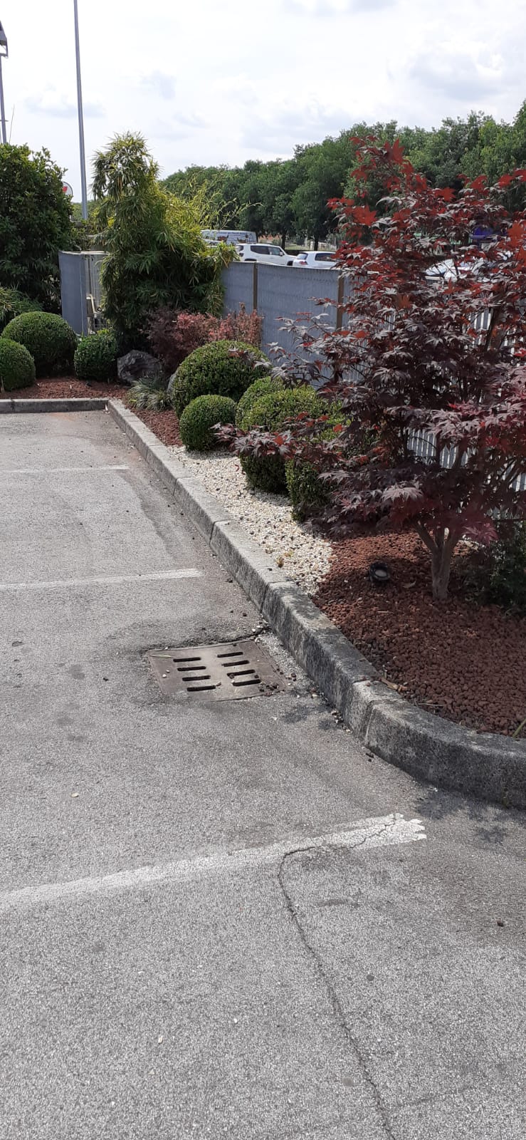 Progettazione realizzazione aiuole Vicenza