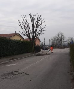 Potature parchi pubblici Costabissara