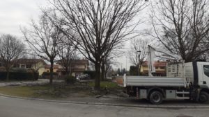 Potature parchi pubblici Costabissara