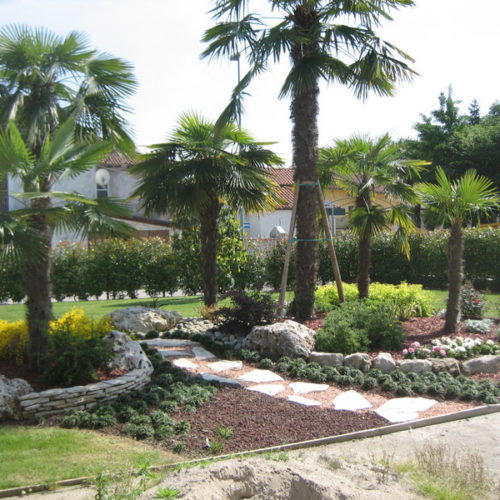 Progetto giardino pietre ciottoli